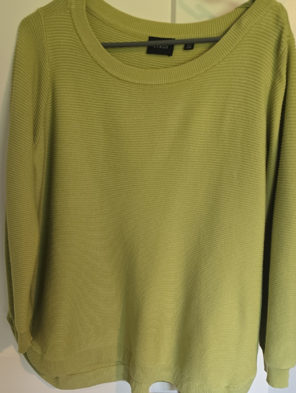 Cyrus Sage Green Ribbed Crewneck Sweater